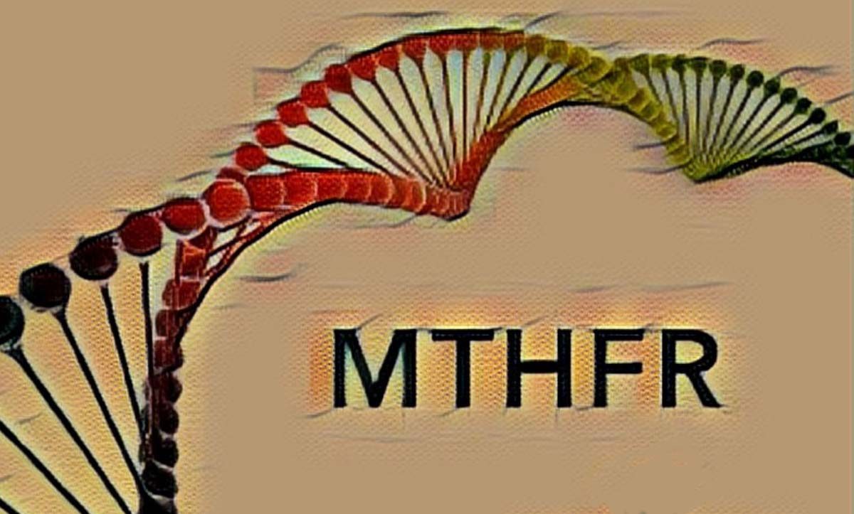 mthfr a1298c heterozigot