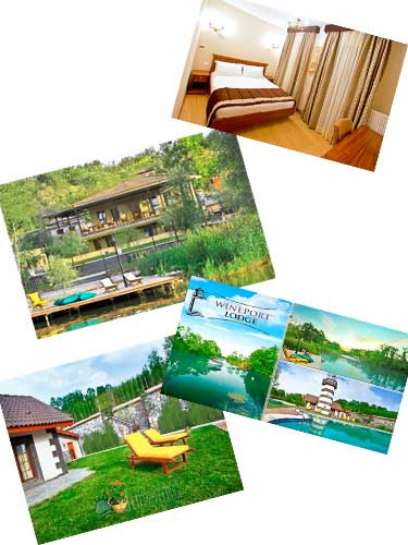 5664.jpg