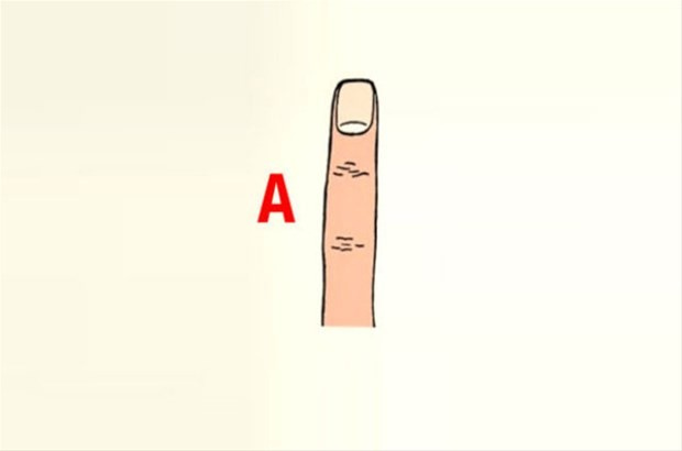 42863_1.jpg