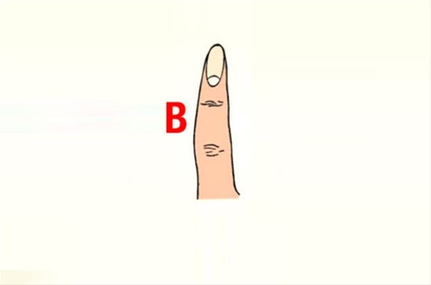 42863_2.jpg