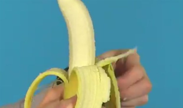 42863_12.jpg