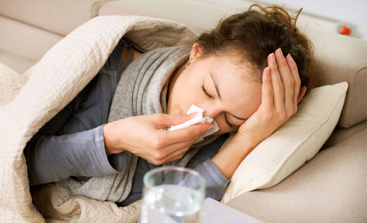 Domuz gribinin belirtileri neler yüksek ateş en önemli semptomu!