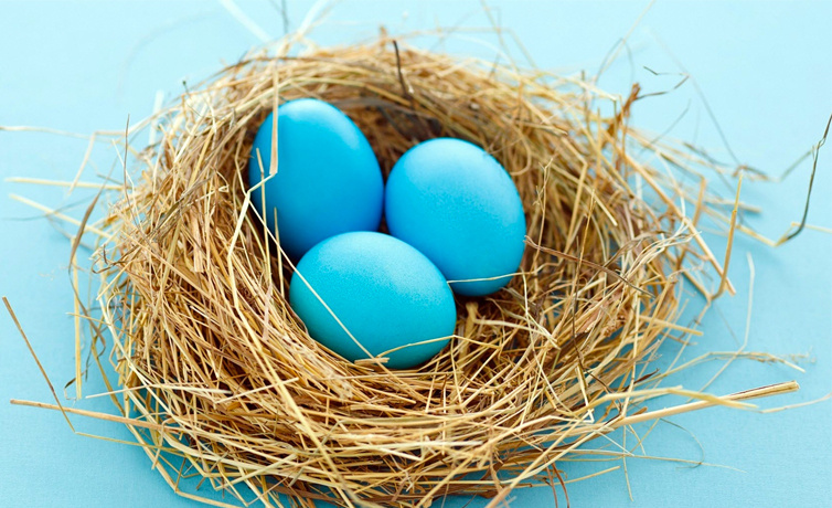 Alzheimer riskini azaltan mavi ve yeşil yumurta nedir faydaları nelerdir?