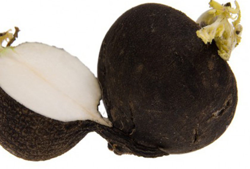 Kara turpun o faydası kanıtlandı!